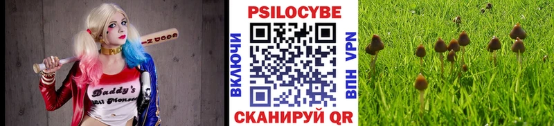 Псилоцибиновые грибы Cubensis  Кандалакша 